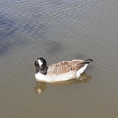 tsa_PhotoclubHomeLearning (13)